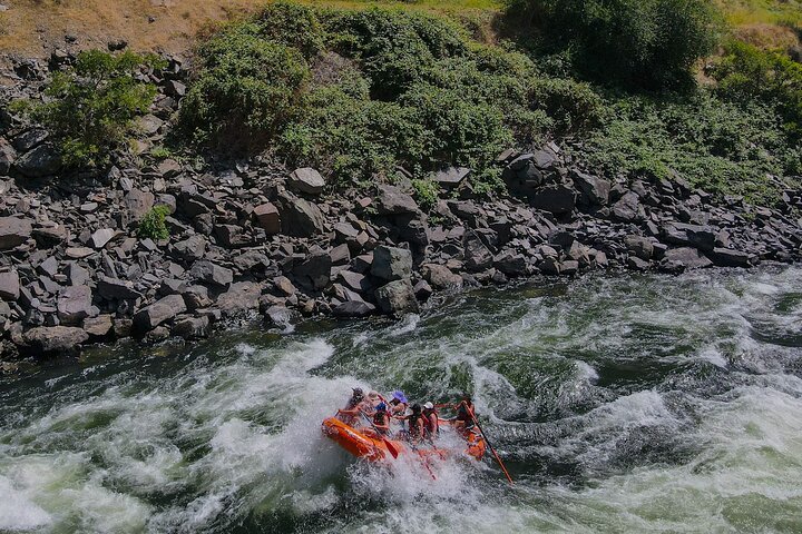 Riggins Idaho half-day rafting trip on the Salmon River