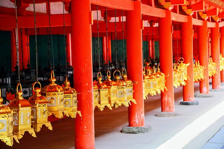 World Heritage Kyoto & Nara Uji Authentic Matcha Experience