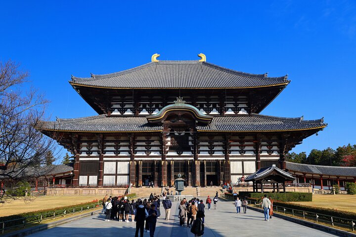 World Heritage Kyoto & Nara Uji Authentic Matcha Experience