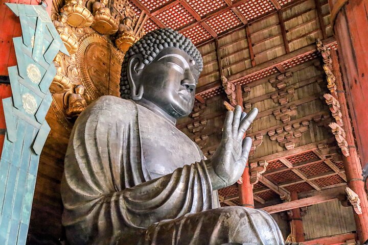 World Heritage Kyoto & Nara Uji Authentic Matcha Experience