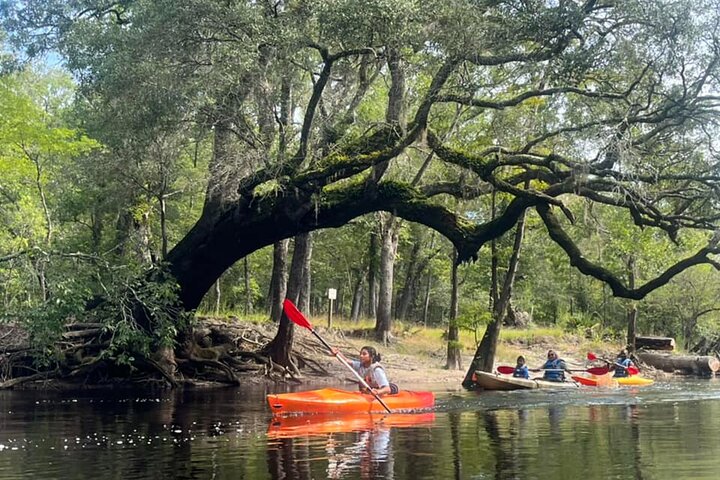 Kayak River Tour to a Private Island