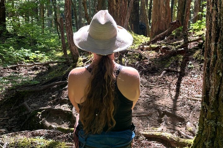 Alaska Nature Immersion: Forest Therapy Tour in Haines, Alaska