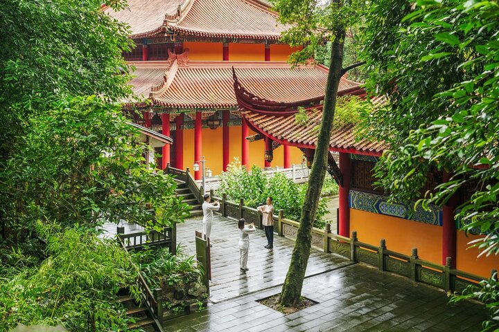 Qing Cheng mountain Taichi class & Tea-tasting experience