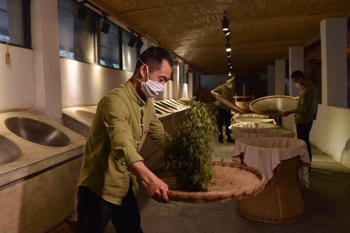 Qing Cheng mountain Taichi class & Tea-tasting experience