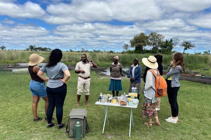 Full-Day Mokoro Experience in the Okavango Delta