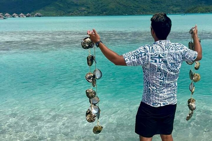 Discover the black pearl in Bora Bora