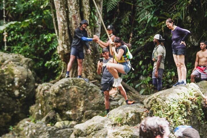 Half-Day Yunque Rainforest Waterslide & rope swing Guided Tour