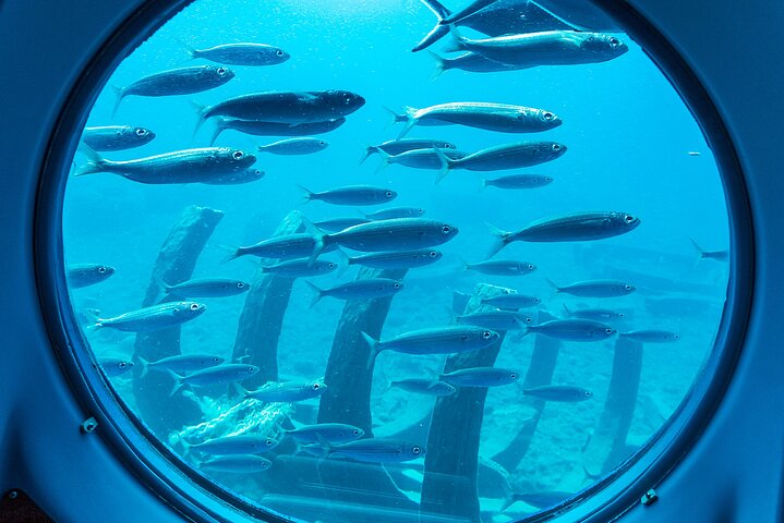 SUBMARINE ADVENTURE - Submarine Excursion in Puerto de Mogán