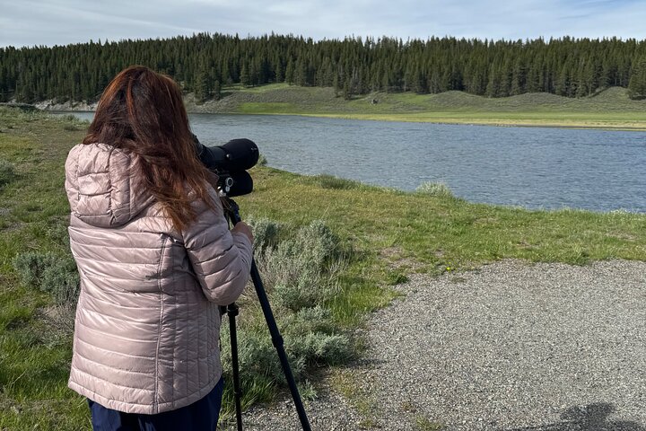 Private Guided Tour in Yellowstone National Park