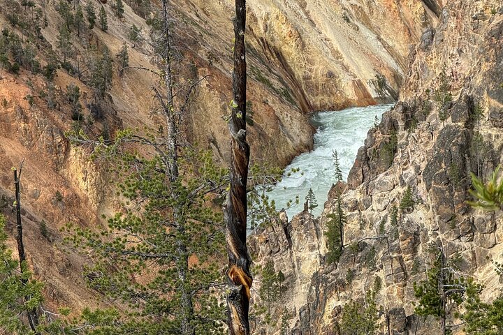 Private Guided Tour in Yellowstone National Park
