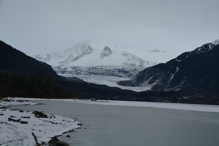 Mendenhall Glacier and Whale Watching Tour