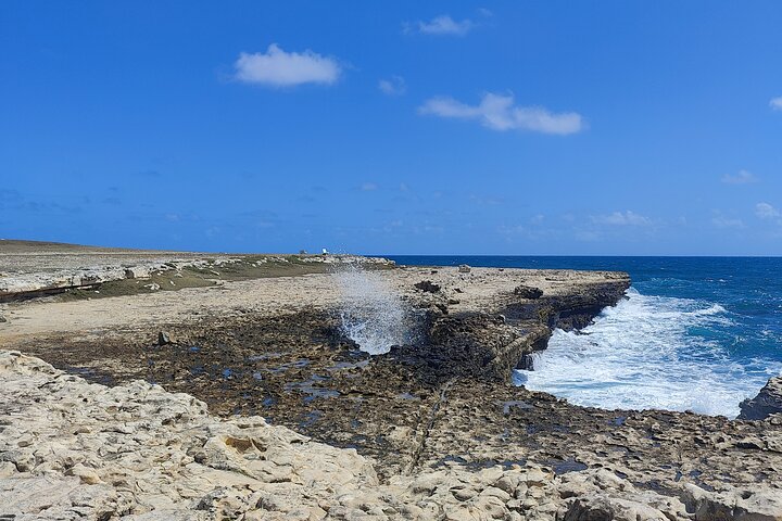 Scenic Full Day Tour of Antigua