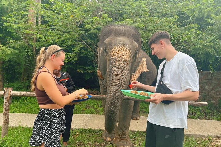 6 Hours Elephant Care and Jungle Tour by 4WD in Koh Samui