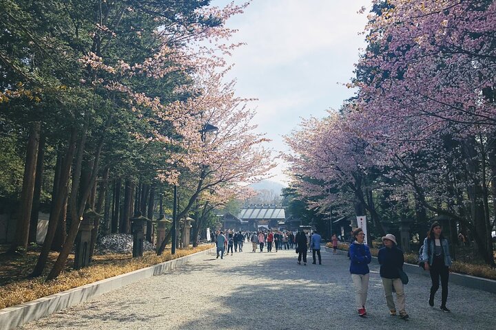 Between Niseko and New Chitose Airport: Private One-Way Transfer