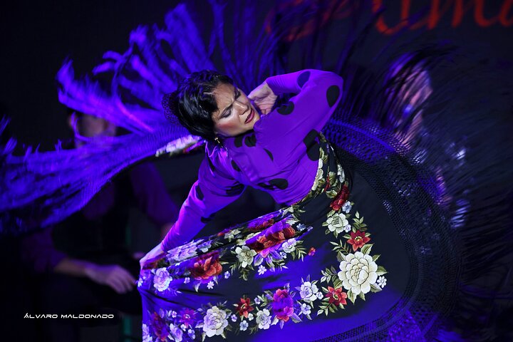 Palma: Authentic Flamenco Show at Tablao Flamenco Alma