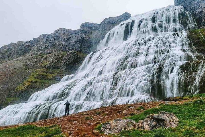 Dynjandi Waterfall & Westfjords Farm Tour from Ísafjörður