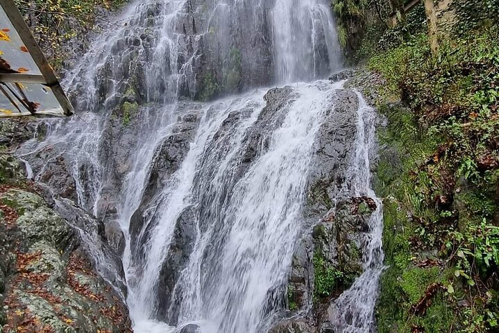 Private Full Day Tour from Batumi to Waterfalls