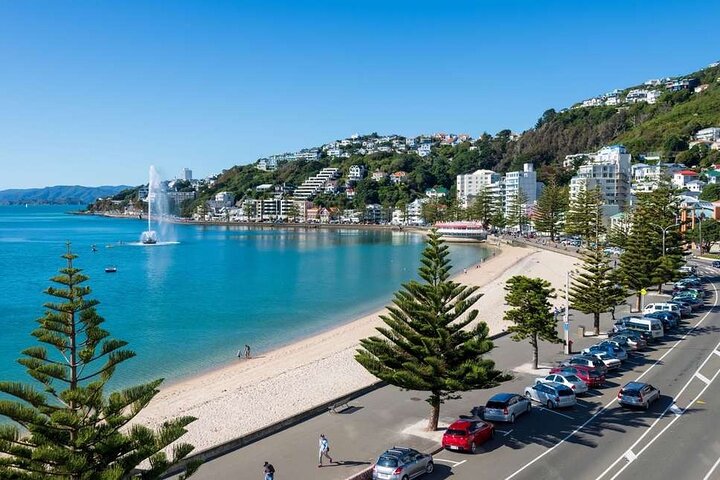 1/2 Day Guided Wellington Tour incl. Cable Car (Vans not buses)