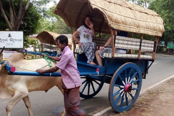 Sigiriya Fortress & Dambulla Day Tour From Colombo, Bentota Area