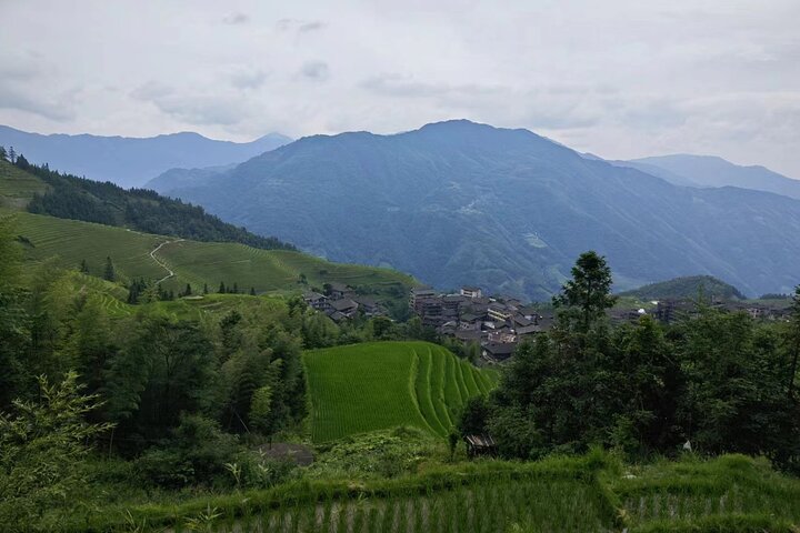 Longji Rice Terraces with Minority Village Private Day Tour