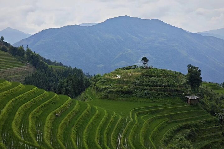 Longji Rice Terraces with Minority Village Private Day Tour