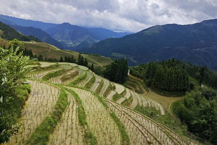Longji Rice Terraces with Minority Village Private Day Tour