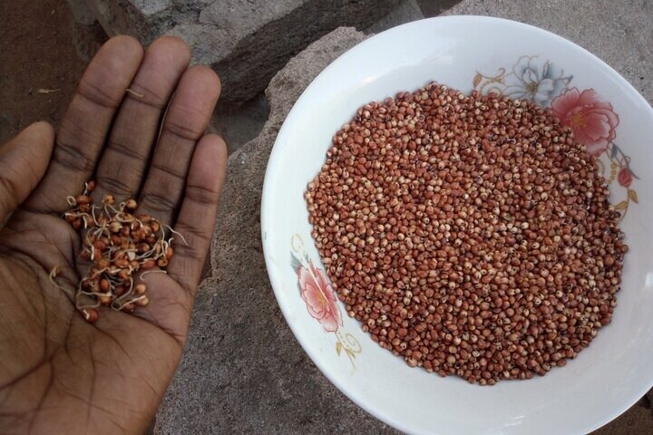 Experience a village from Gaborone (Molepolole Village Visit)