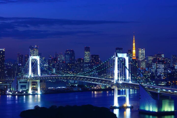 Private Custom Tokyo Tour with a Tokyo Resident Pro Guide By Car