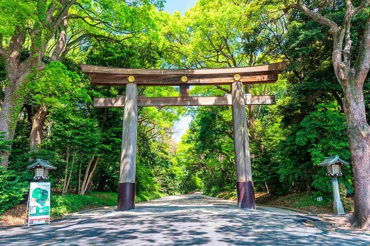 Private Custom Tokyo Tour with a Tokyo Resident Pro Guide By Car