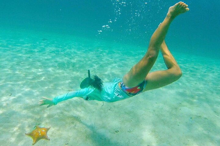 ALL INCLUSIVE San Blas Islands Day Tour on Sailboat