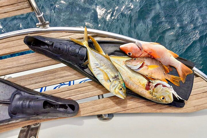 ALL INCLUSIVE San Blas Islands Day Tour on Sailboat