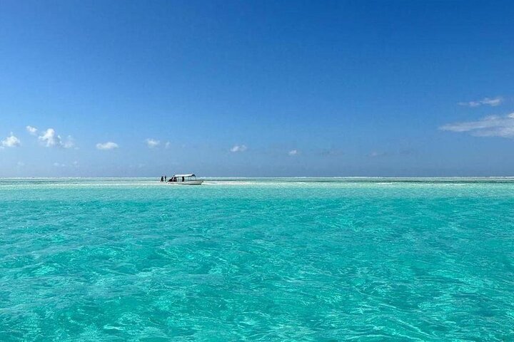 A Half Day Private Dolphins And Snorkeling Tour To Mnemba Island