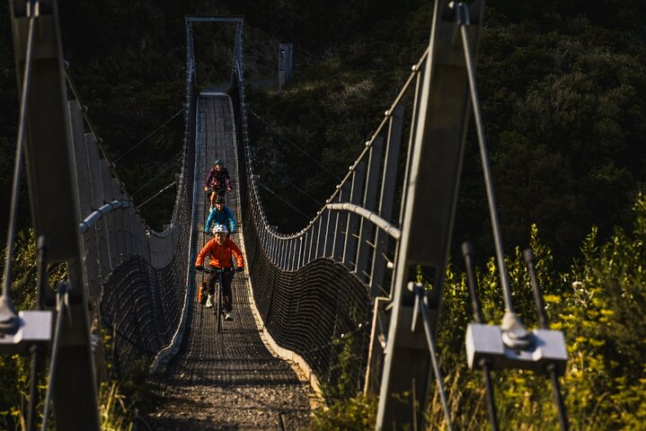 Wellington Remutaka Rail Trail eBike Cycle Tour