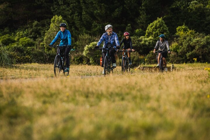 Wellington Remutaka Rail Trail eBike Cycle Tour