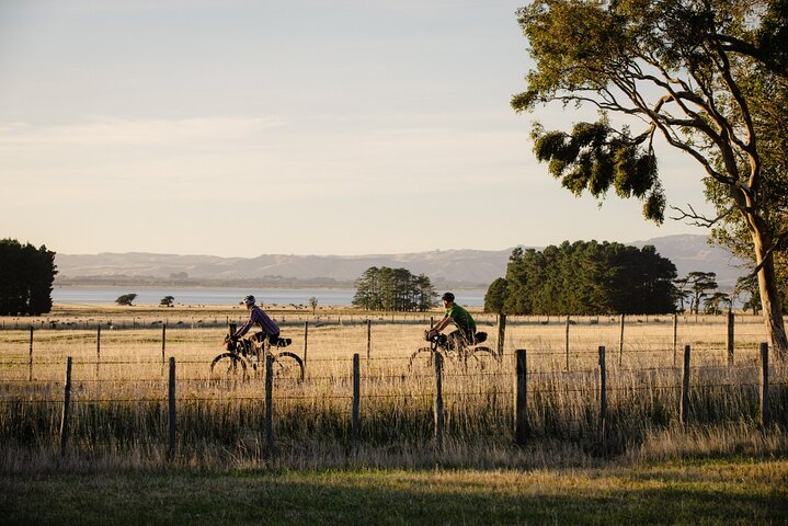 Wellington Remutaka Rail Trail eBike Cycle Tour