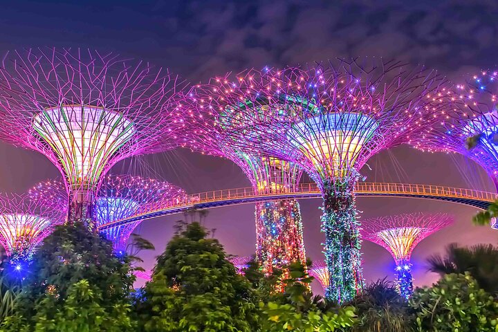 Singapore Private Customized City Tour with Driver