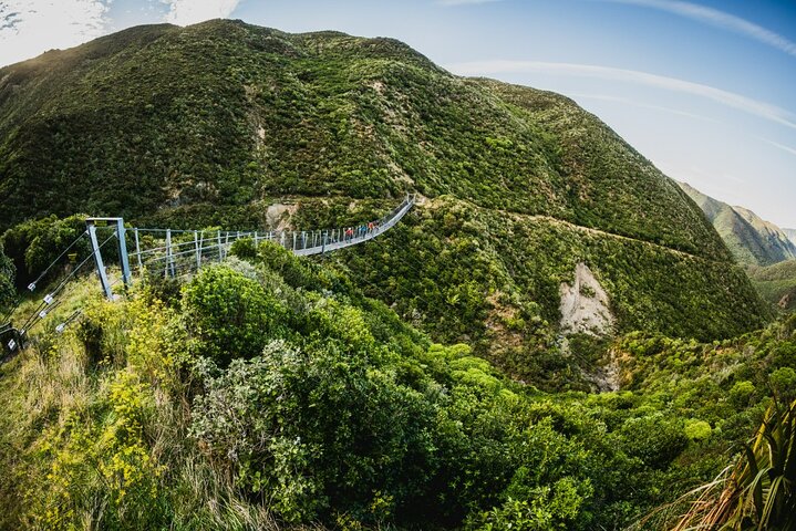 Wellington Remutaka Rail Trail eBike Cycle Tour