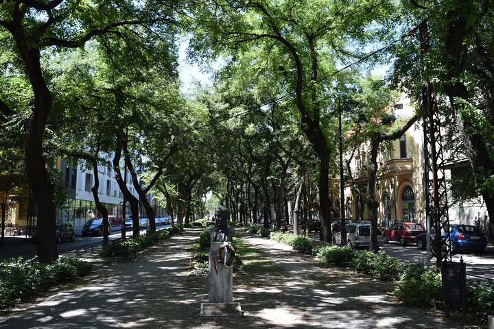 Private Queen of Art Nouveau in Subotica Tour