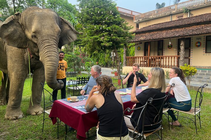 2 Nights 3 Days Chitwan National Park Package with Jeep Safari