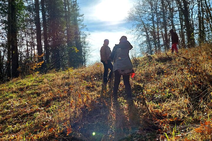 Truffle Hunting and Lunch in Piedmont Trattoria