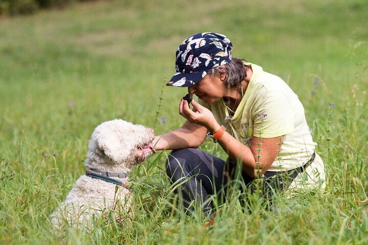 Truffle Hunting and Lunch in Piedmont Trattoria