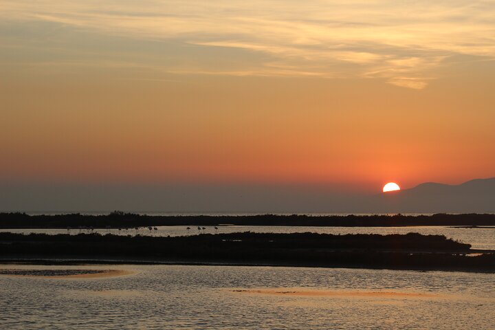 Sunset among flamingos in the Ebro Delta