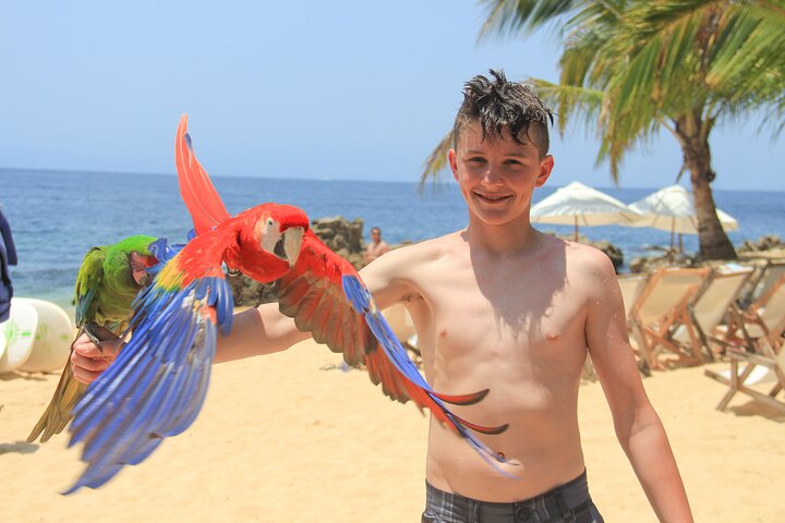 Puerto Vallarta Las Caletas, Adventure Park & Lunch with Open Bar
