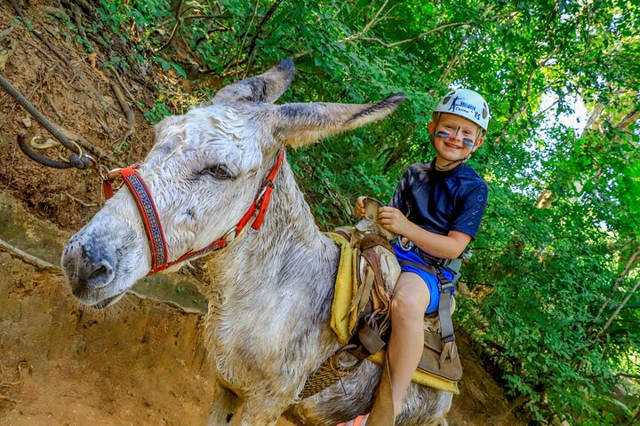 Puerto Vallarta Las Caletas, Adventure Park & Lunch with Open Bar
