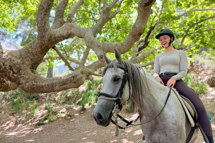 1 or 2 Hours PRIVATE Horse Riding in the forest in Kemer Antalya