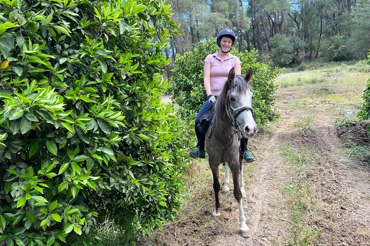 1 or 2 Hours PRIVATE Horse Riding in the forest in Kemer Antalya