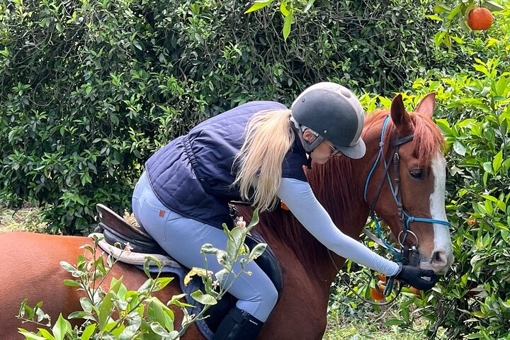 1 or 2 Hours PRIVATE Horse Riding in the forest in Kemer Antalya