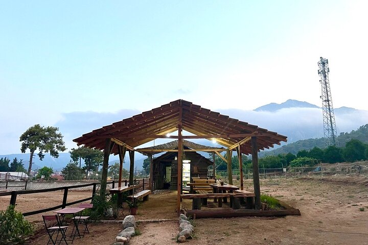 1 or 2 Hours PRIVATE Horse Riding in the forest in Kemer Antalya