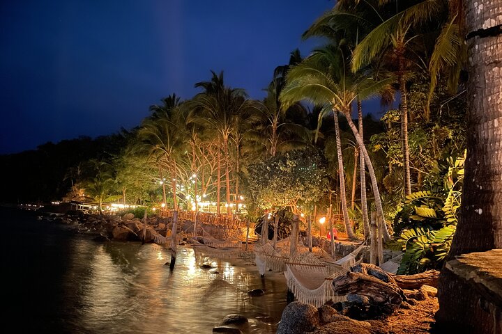 Puerto Vallarta Rhythms of the Night: Gourmet Dinner & Alma Show