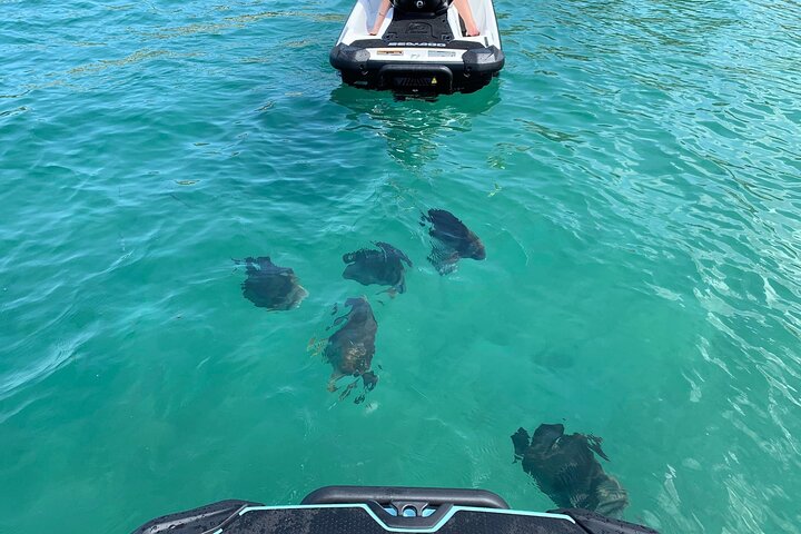 Magnetic Island Snorkel Jet Ski Tour